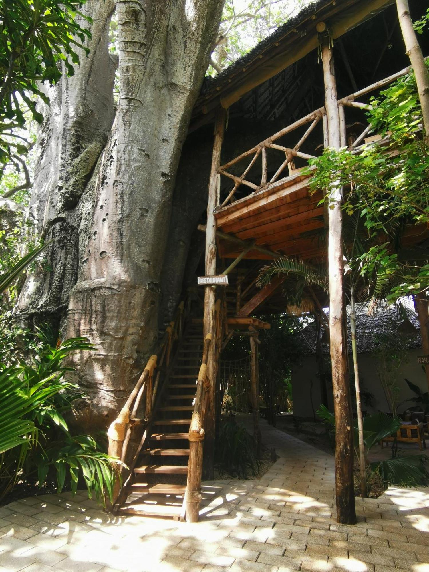 Baobab Africa Lodge Zanzibar Mtende Exterior foto